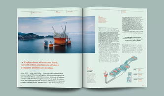 版式設計與軟件開發 探索雜志設計中的圖文編排藝術與技術實現